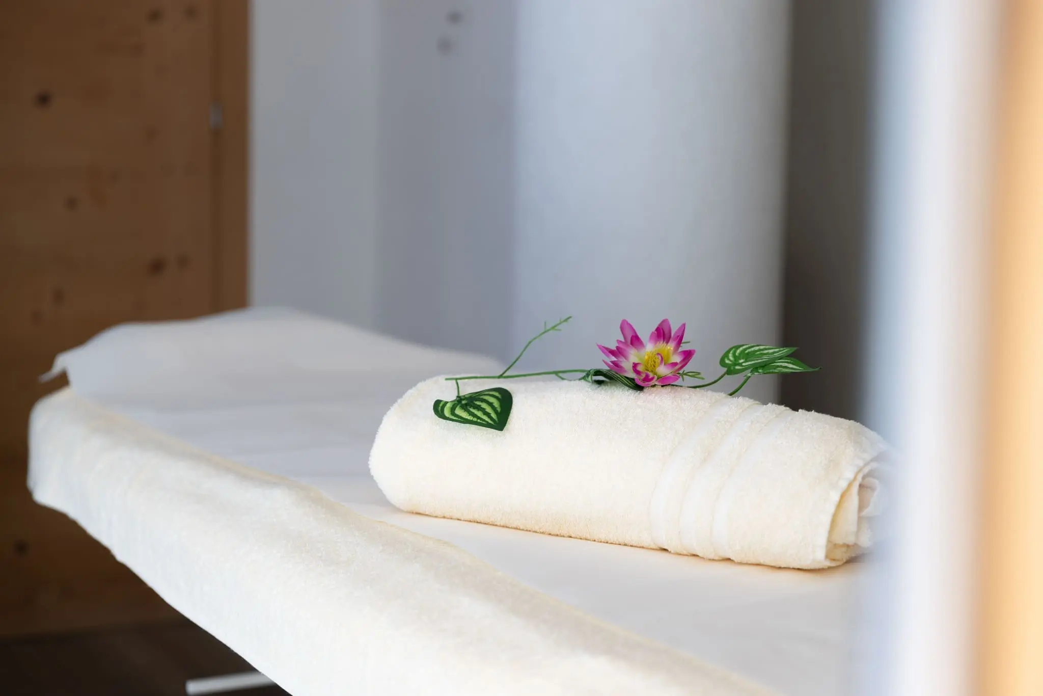 Luxury Massage Hotel Alpine Mugon