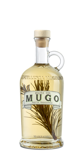 Grappa Mugo